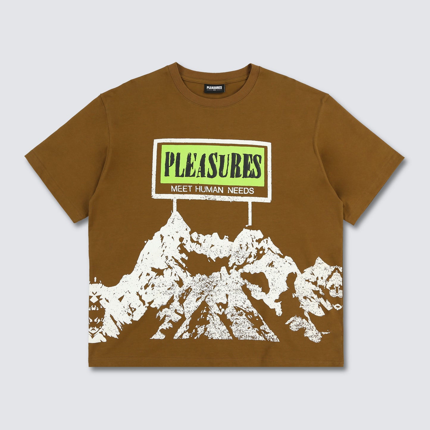 Pleasures Human Needs Heavyweight T-shirt